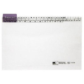 Einstellmappe A4 PP - Hellviolett mit Organisationsaufdruck