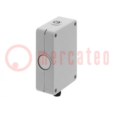 Ultraschall Sensor - Erkennung von 200 bis 1000 mm - PNP / NO - 5Hz