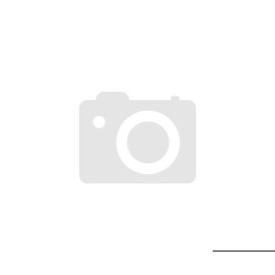 aQuator PTV MINI Wasserionisator Silber - Hochwertiger Wasserfilter für reines Trinkwasser